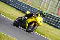 Middle 1 Group Yellow Bikes